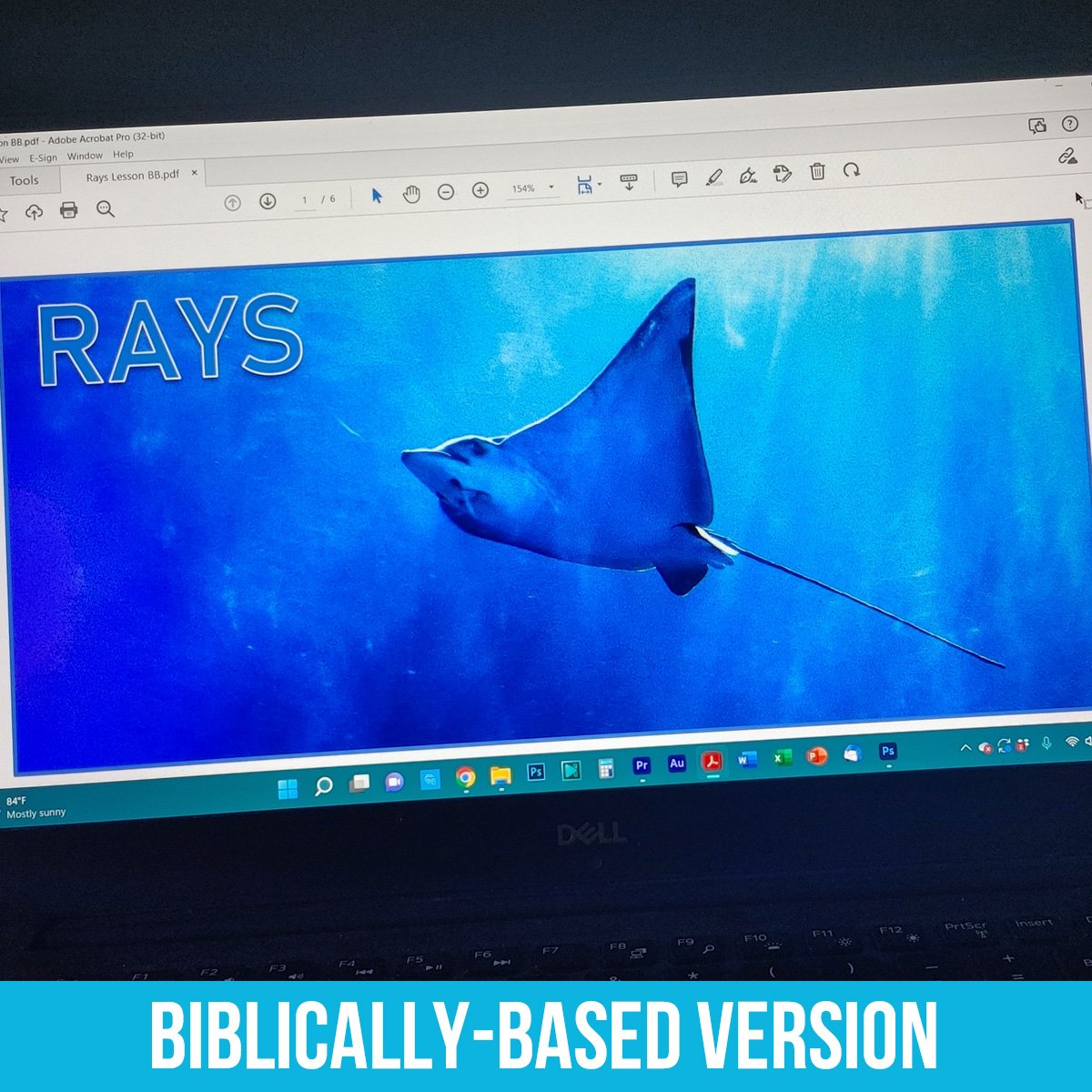 Rays PDF BB.jpg