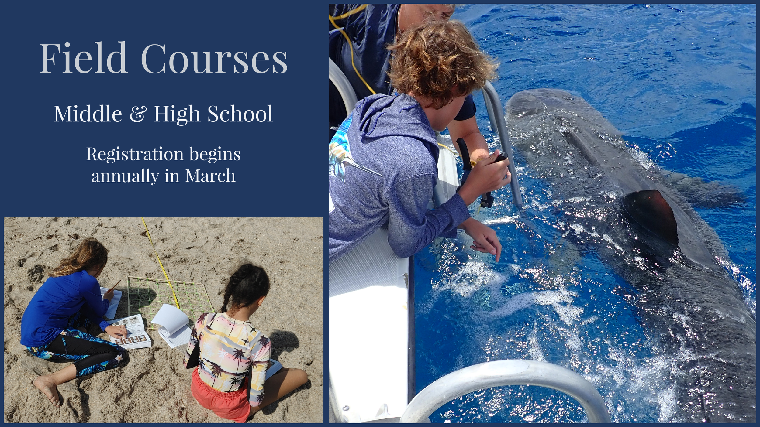 Field Courses - Middle & High School.png