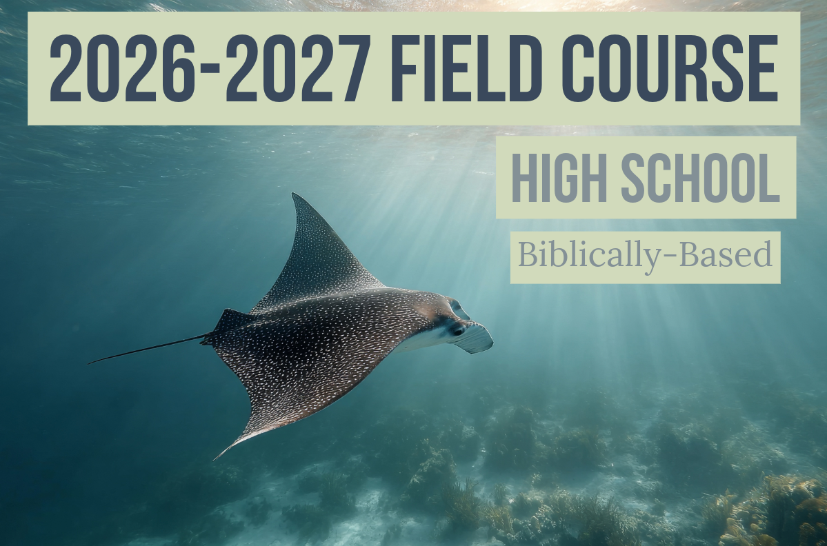 2026-2027 Florida Marine Animals Field Course | High School