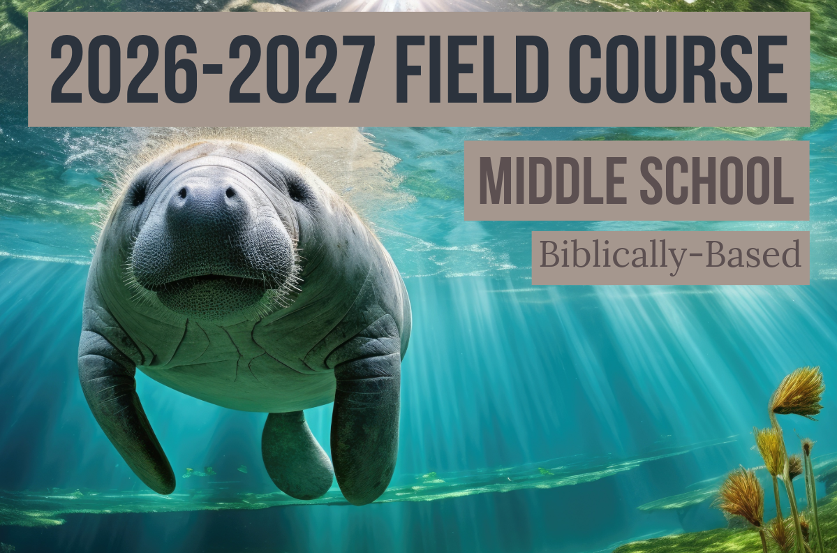 2026-2027 Florida Marine Animals Field Course | Middle School