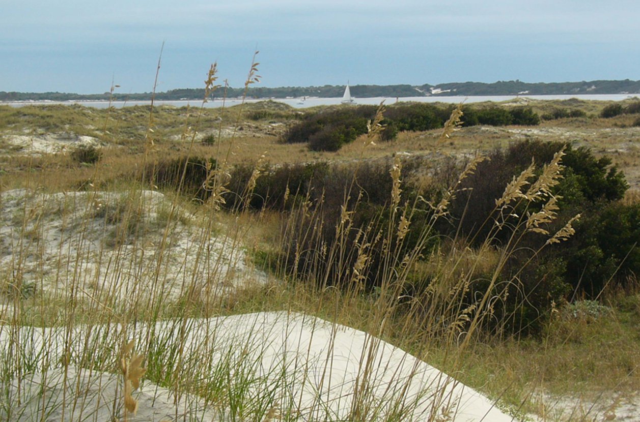 Beach Dune Scavenger Hunt