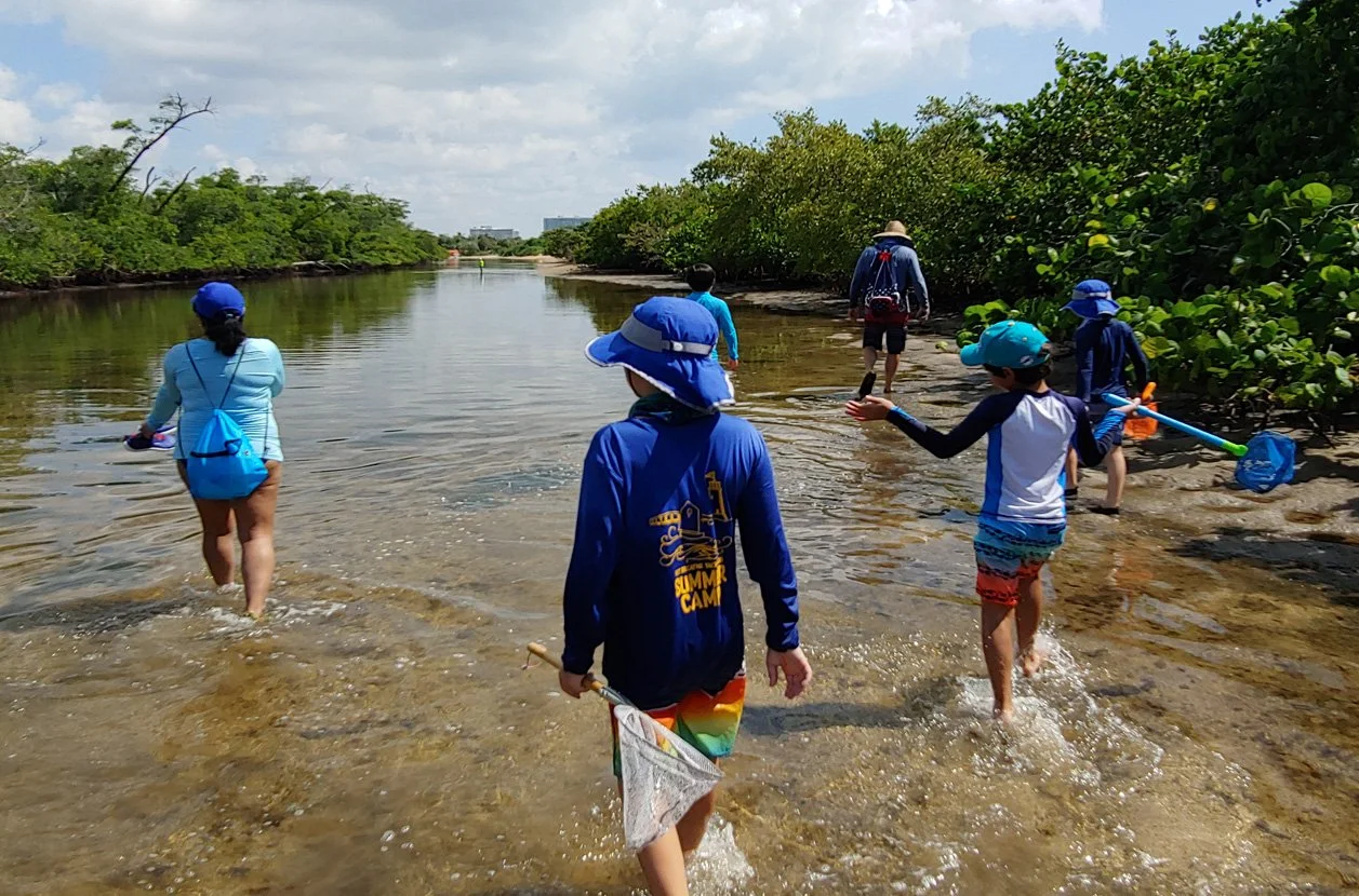 Whiskey Creek Wading Tour