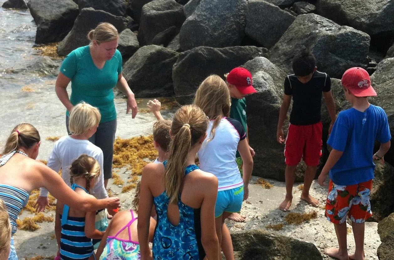 Rocky Intertidal Survey | Broward