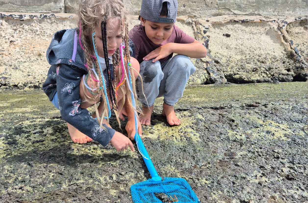 Rocky Intertidal Survey | Palm Beach