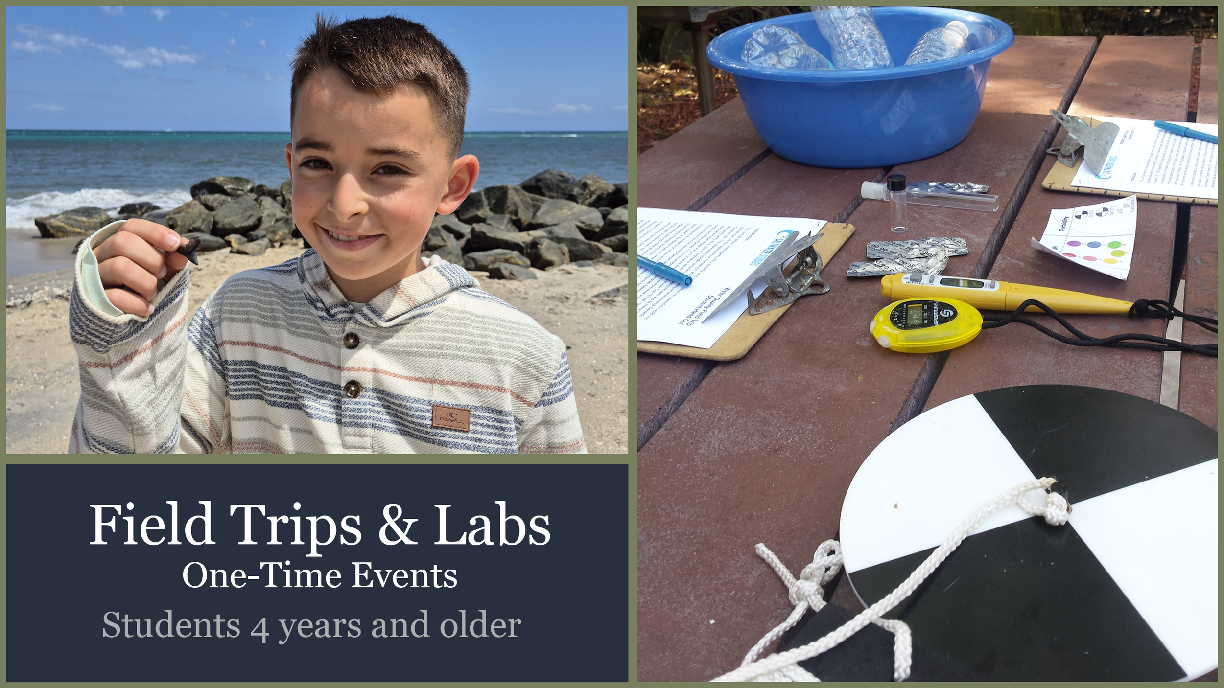 Field Trips & Labs.png