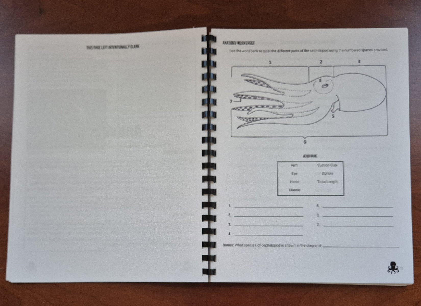 P 17.jpg