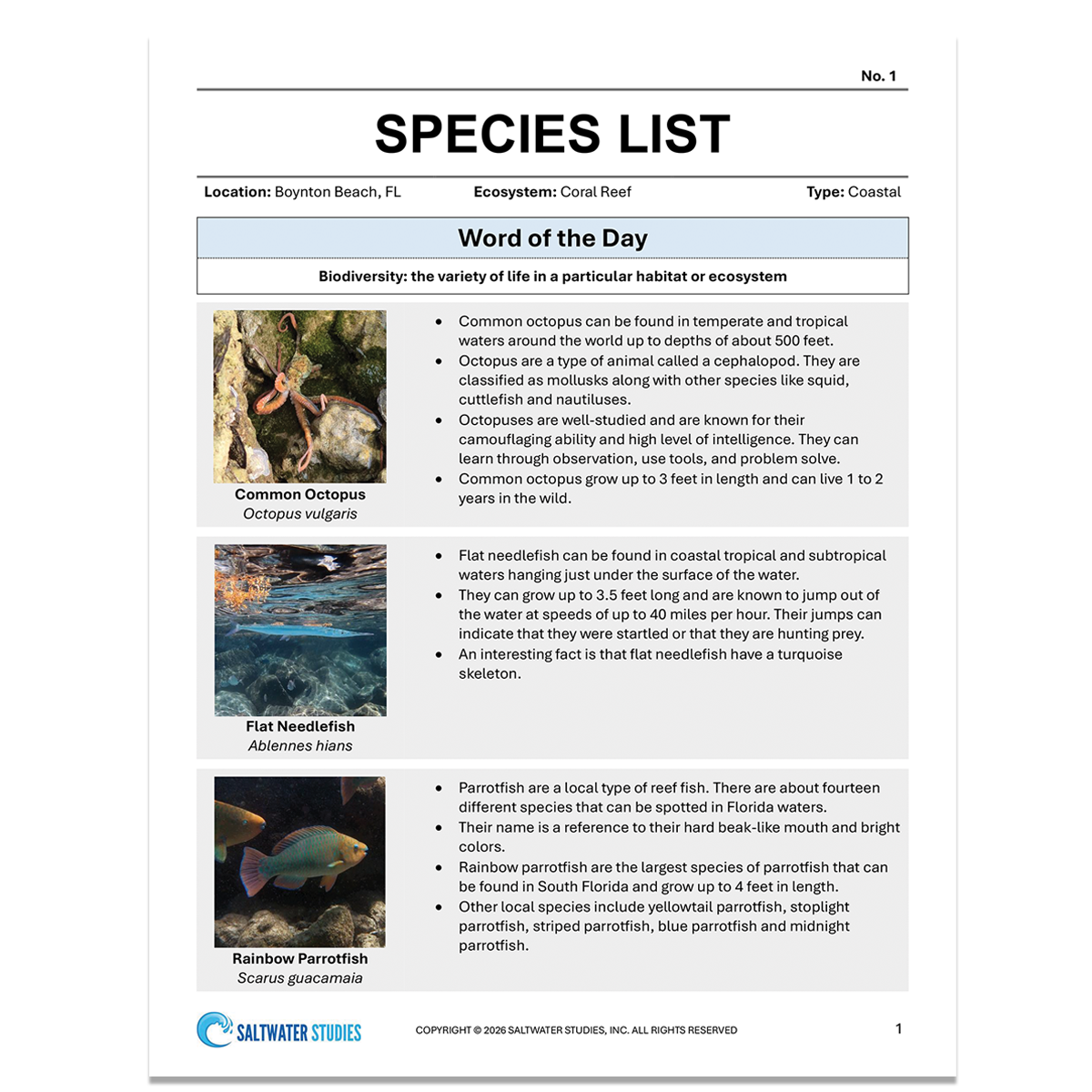 Species Lists Graphics - BB 1.png