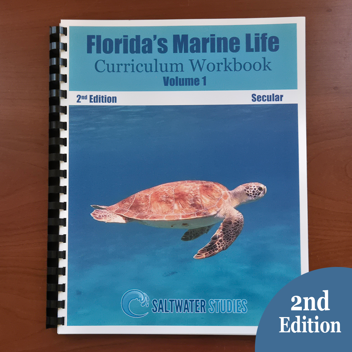 Website Graphics Workbook Vol 1 2 ed secular r.png