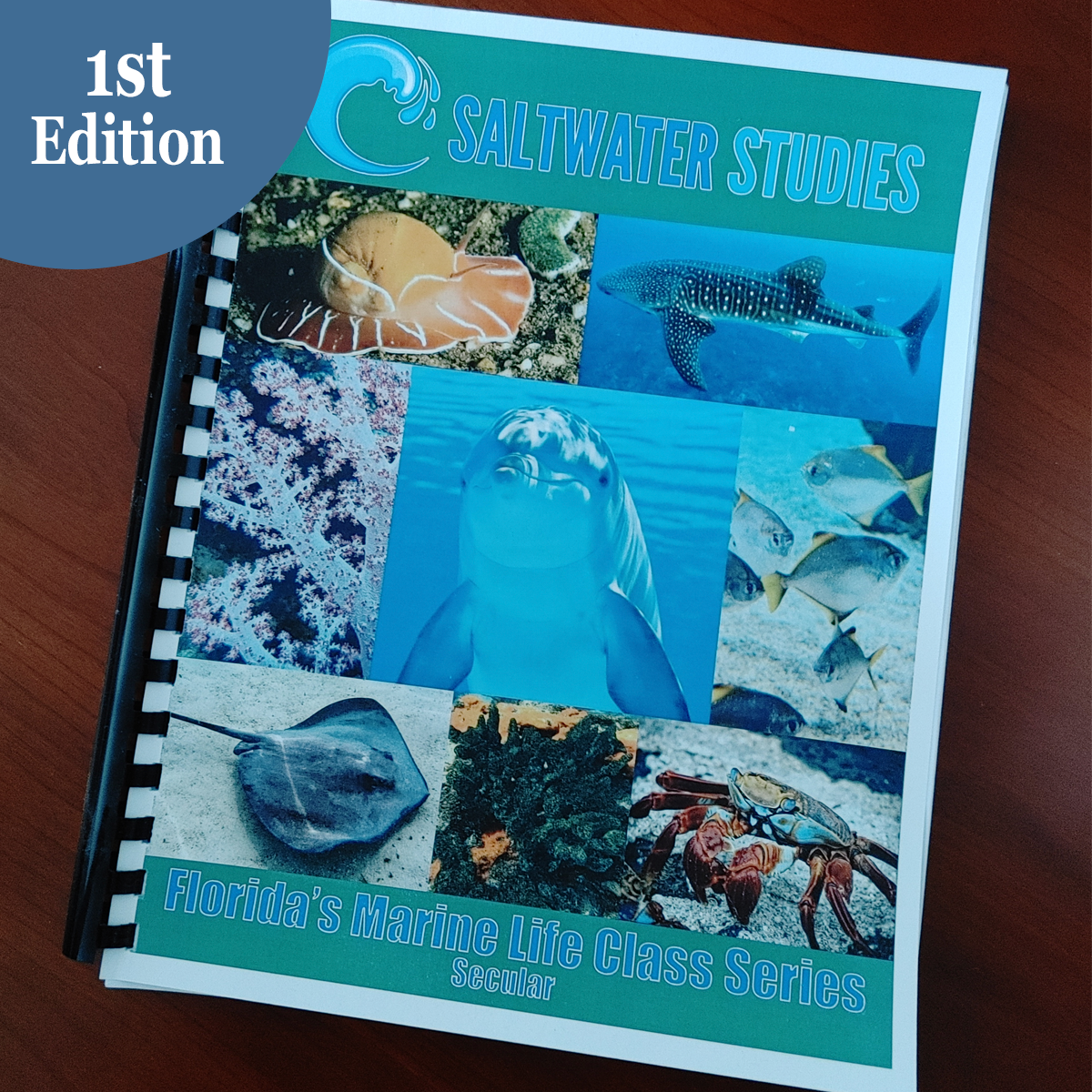 Website Graphics Workbook Vol 2 1 ed secular.png