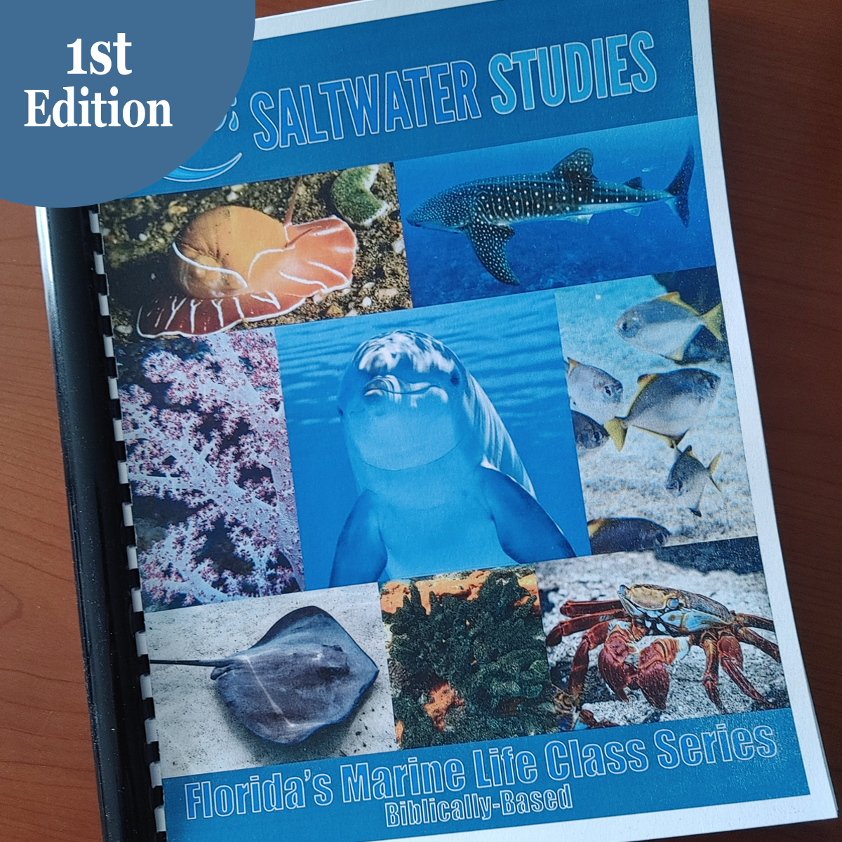 Website Graphics Workbook Vol 2 1 ed bb.png