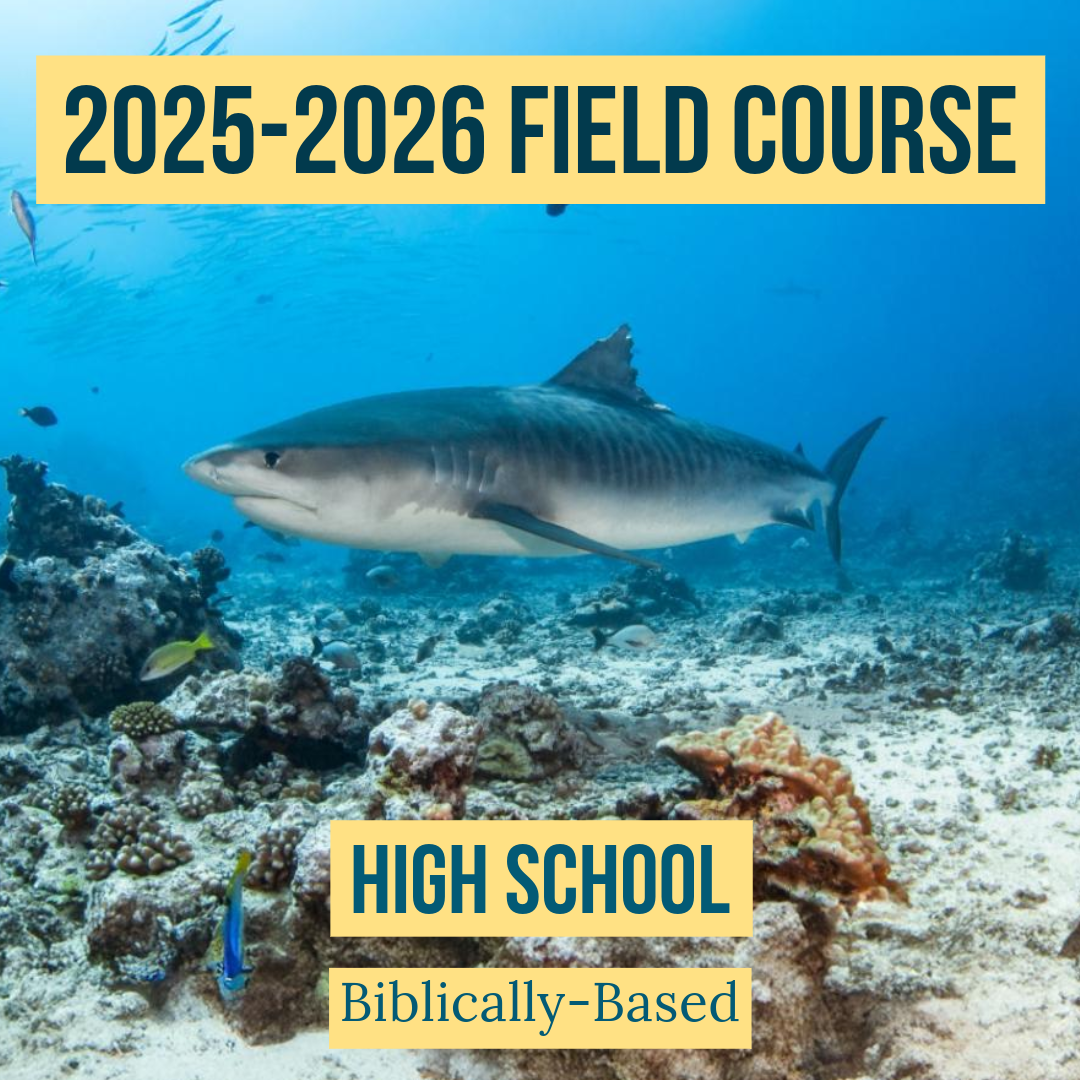 2025-2026 Florida Marine Animals Field Course | High School (Biblically-Based)