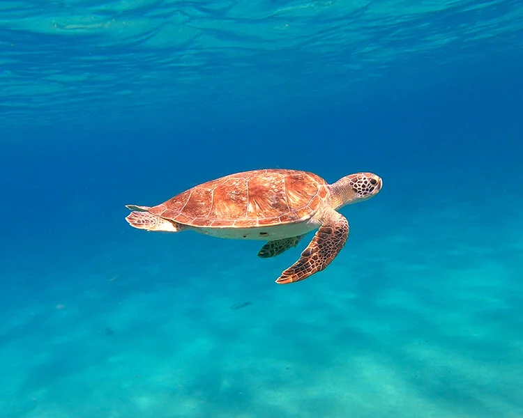 Splash Page Image.jpg