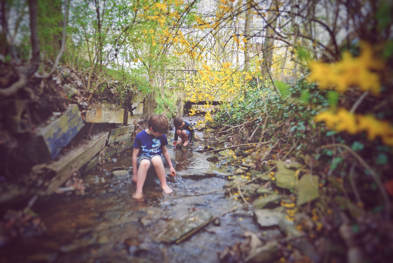 The boys in our backyard stream
