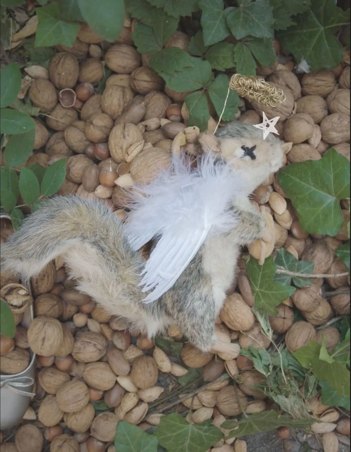 Dead Squirrel 