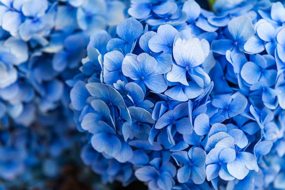 iStock-927499422.jpg