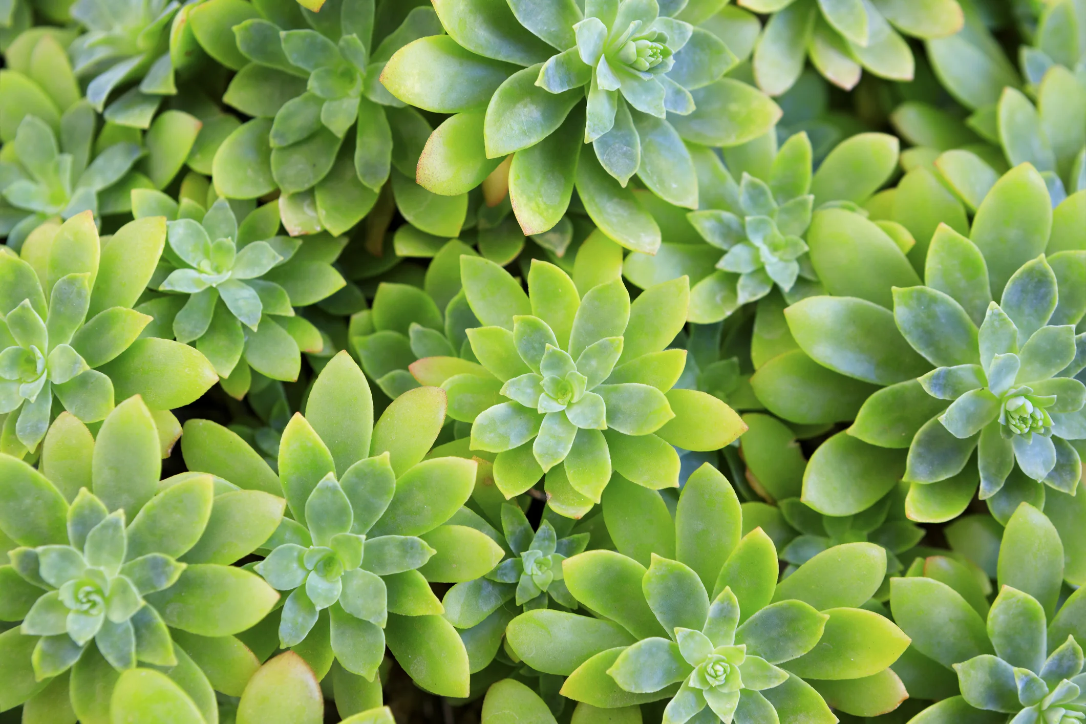 iStock-878934678.jpg