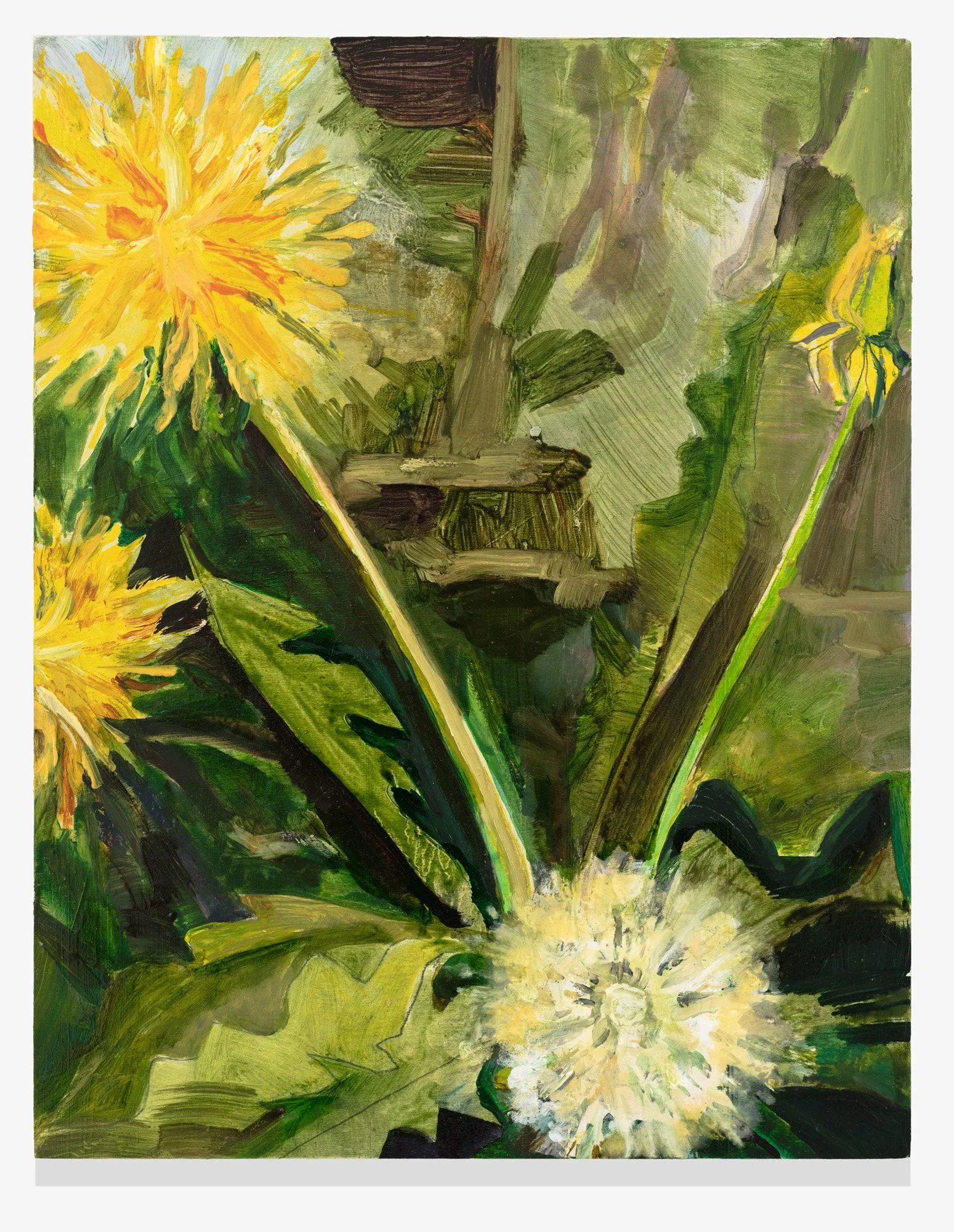    Eye of the Beholder     14 × 11”                                                                                                                                       oil on birch  