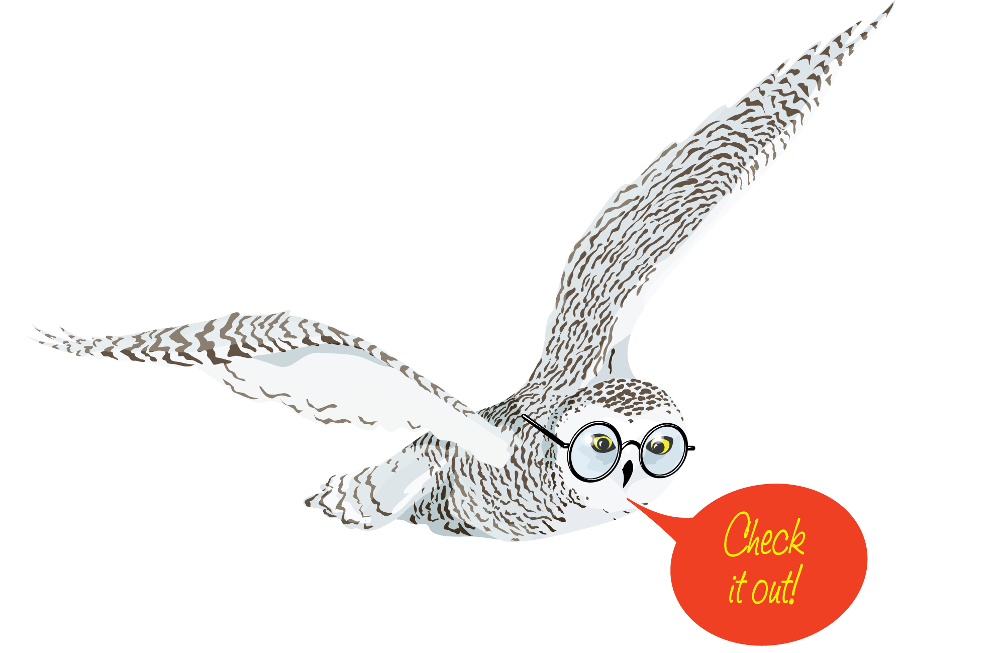 owl-bubble.png