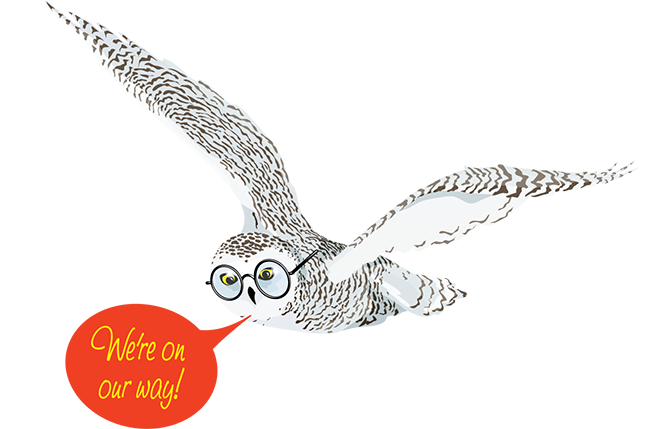 owl-on-our-way-web.png