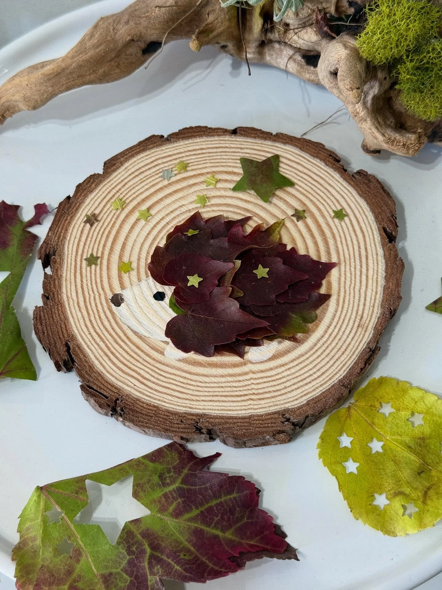 Come craft with us @juniperstationnapa tomorrow from 10am-12pm! 🍃 🍁 🎨