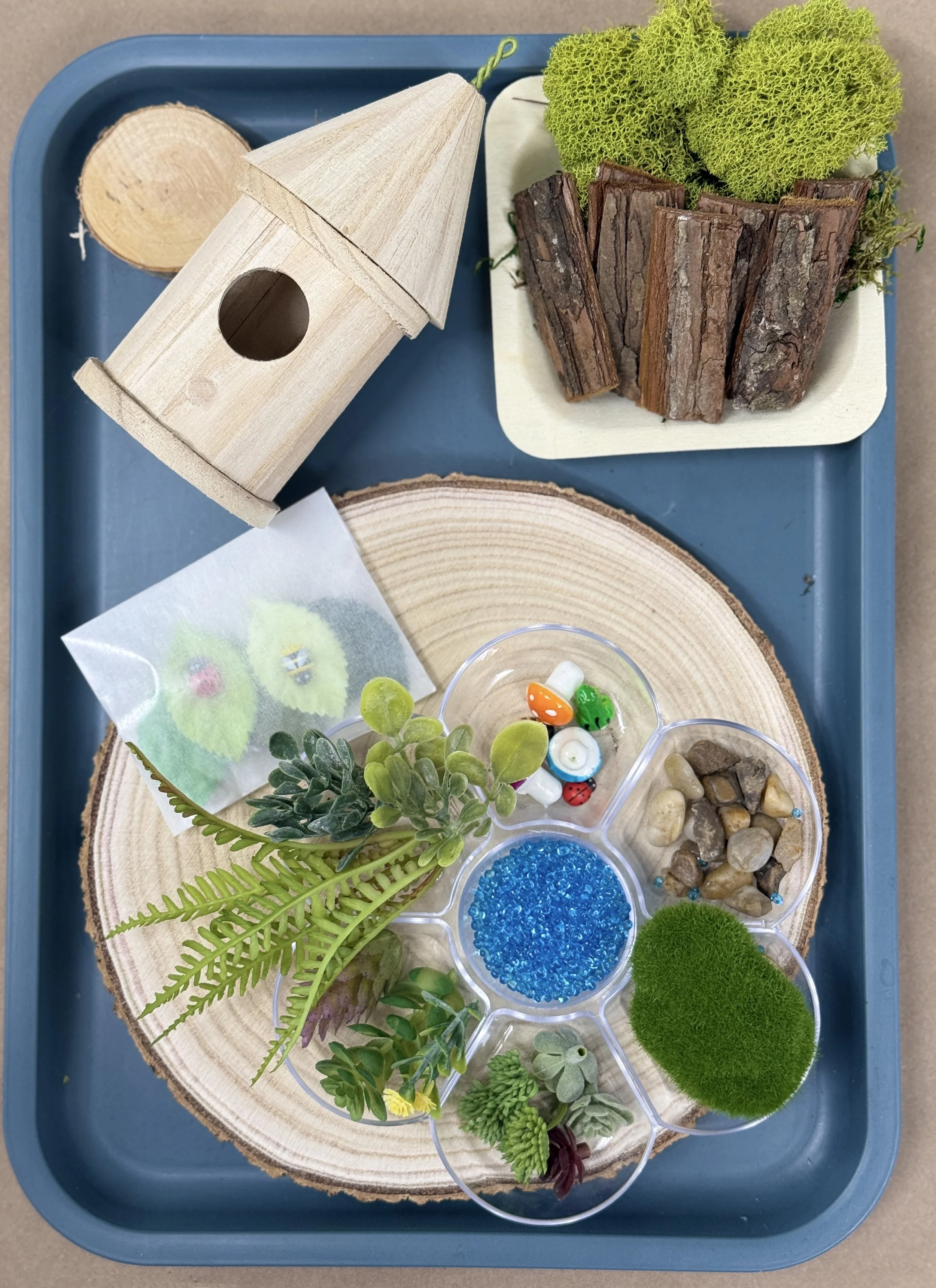 fairy_garden_flatlay.jpg