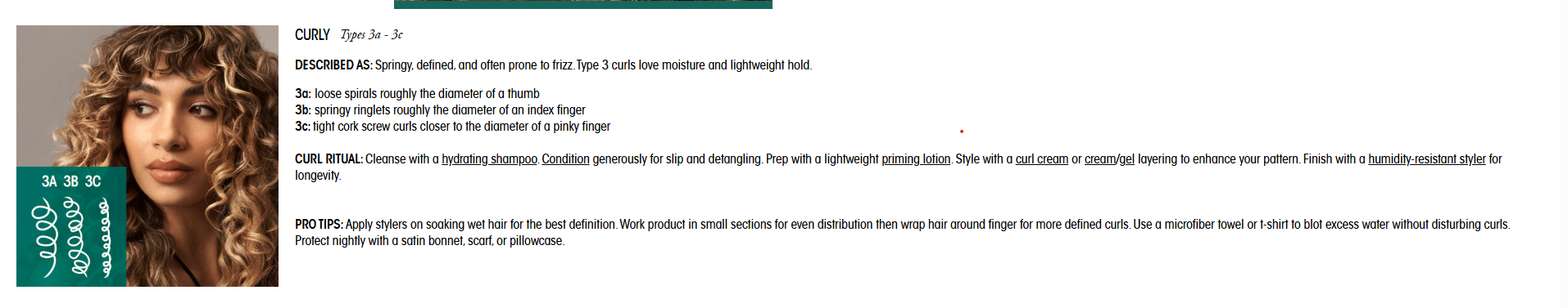 Screenshot 2026-01-29 100300.png