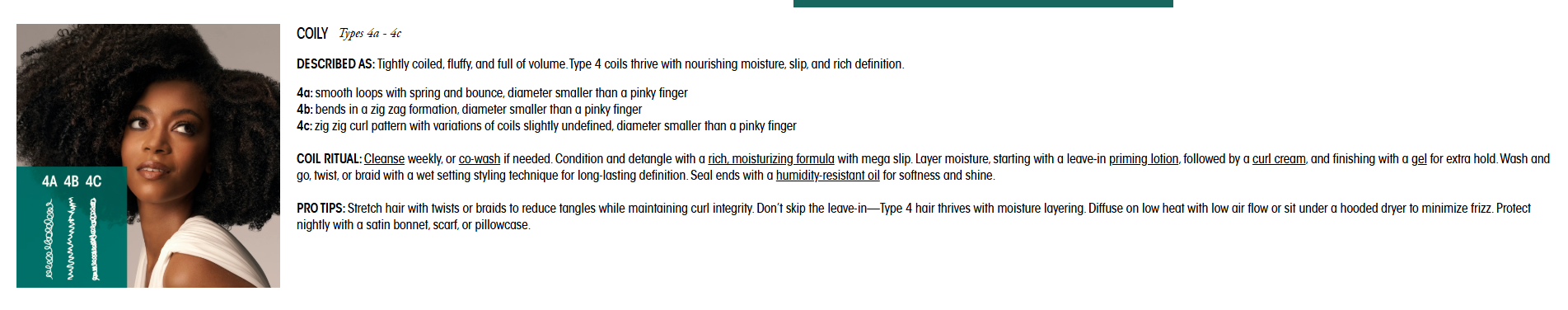 Screenshot 2026-01-29 100652.png