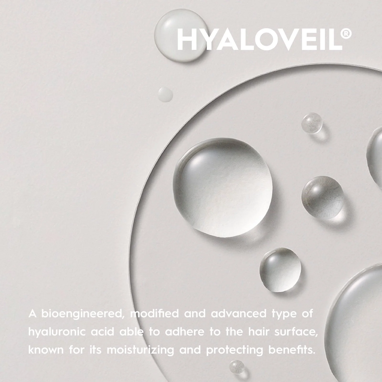 KS_MB2023_Essentials_SH_RepairingShampoo_Ingredient_Hyaloveil_ECOM.jpg