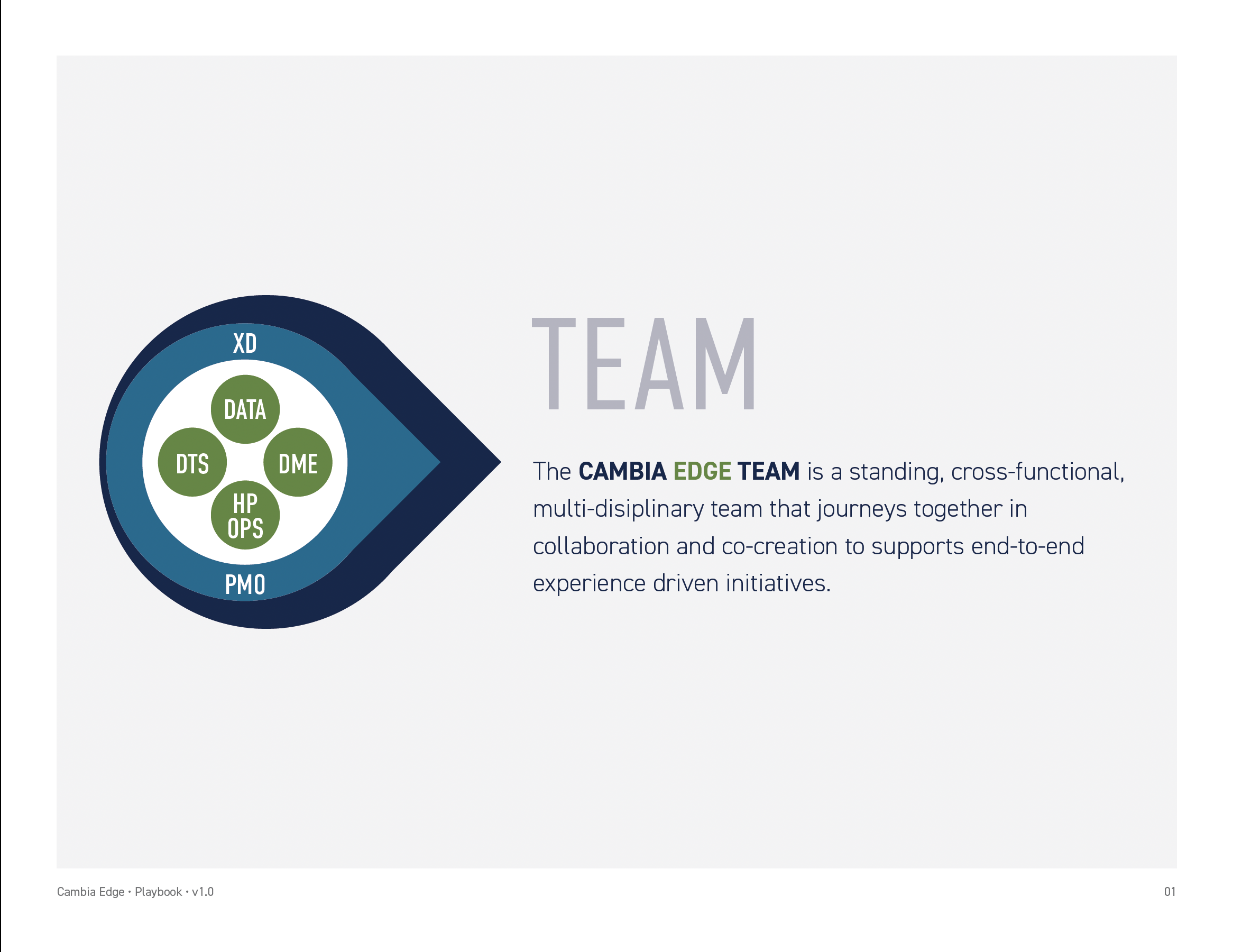 Cambia_Edge_Playbook_04.png