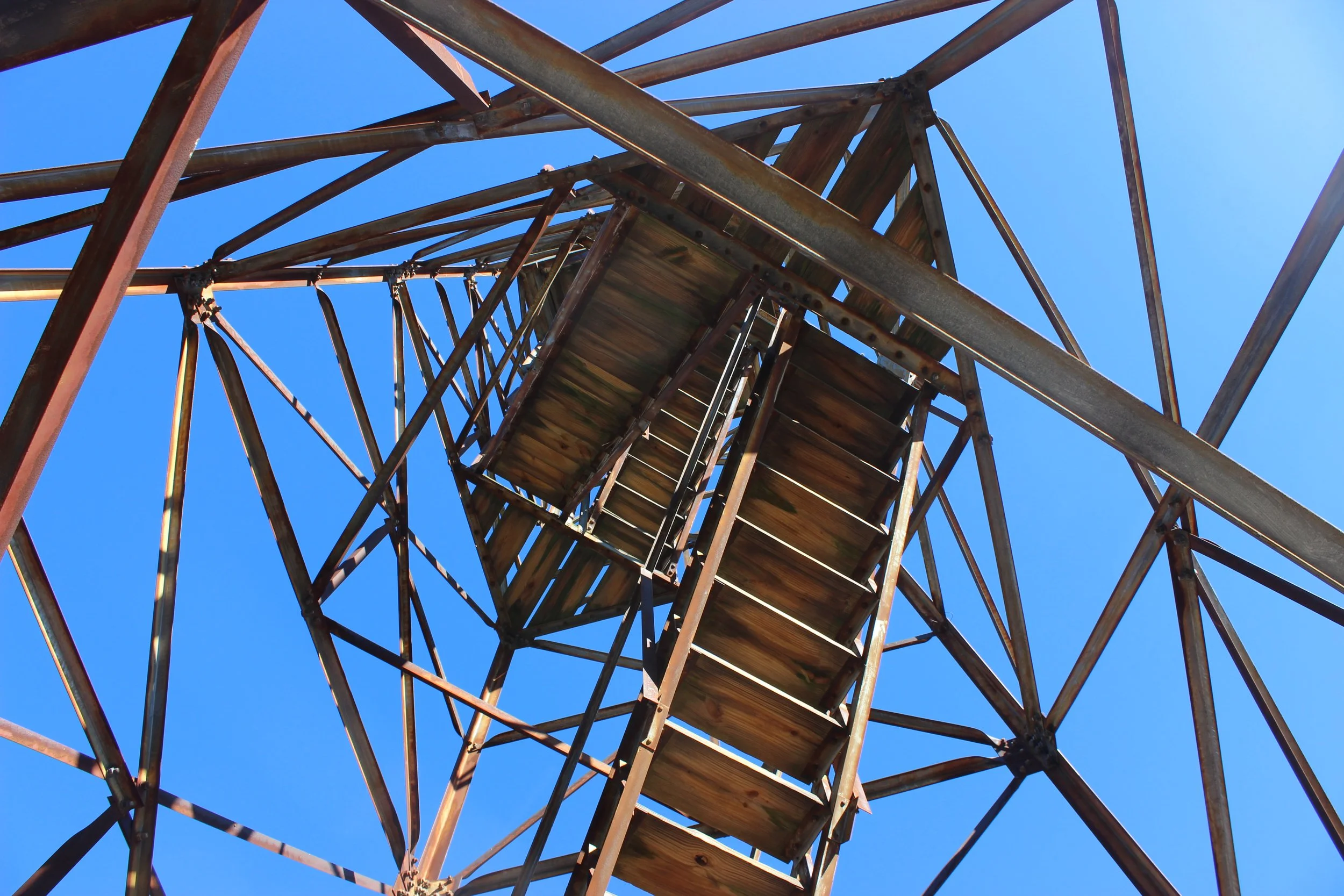 View from beneath viewing tower in Tenn.