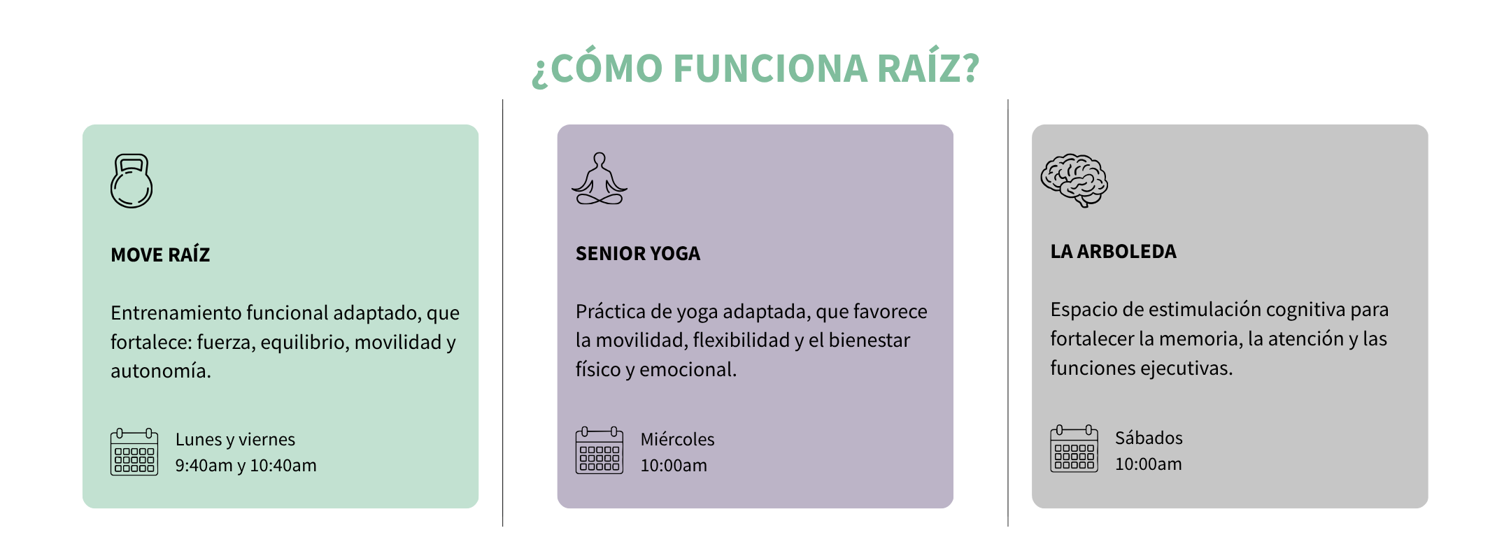 Experiencia de raiz en Asertiva Wellness House