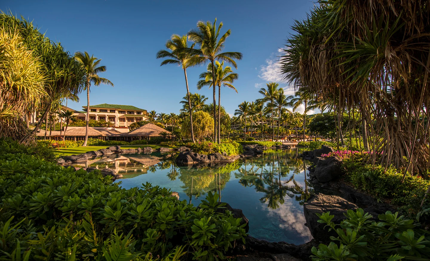 View from lagoon rpw sm.jpg