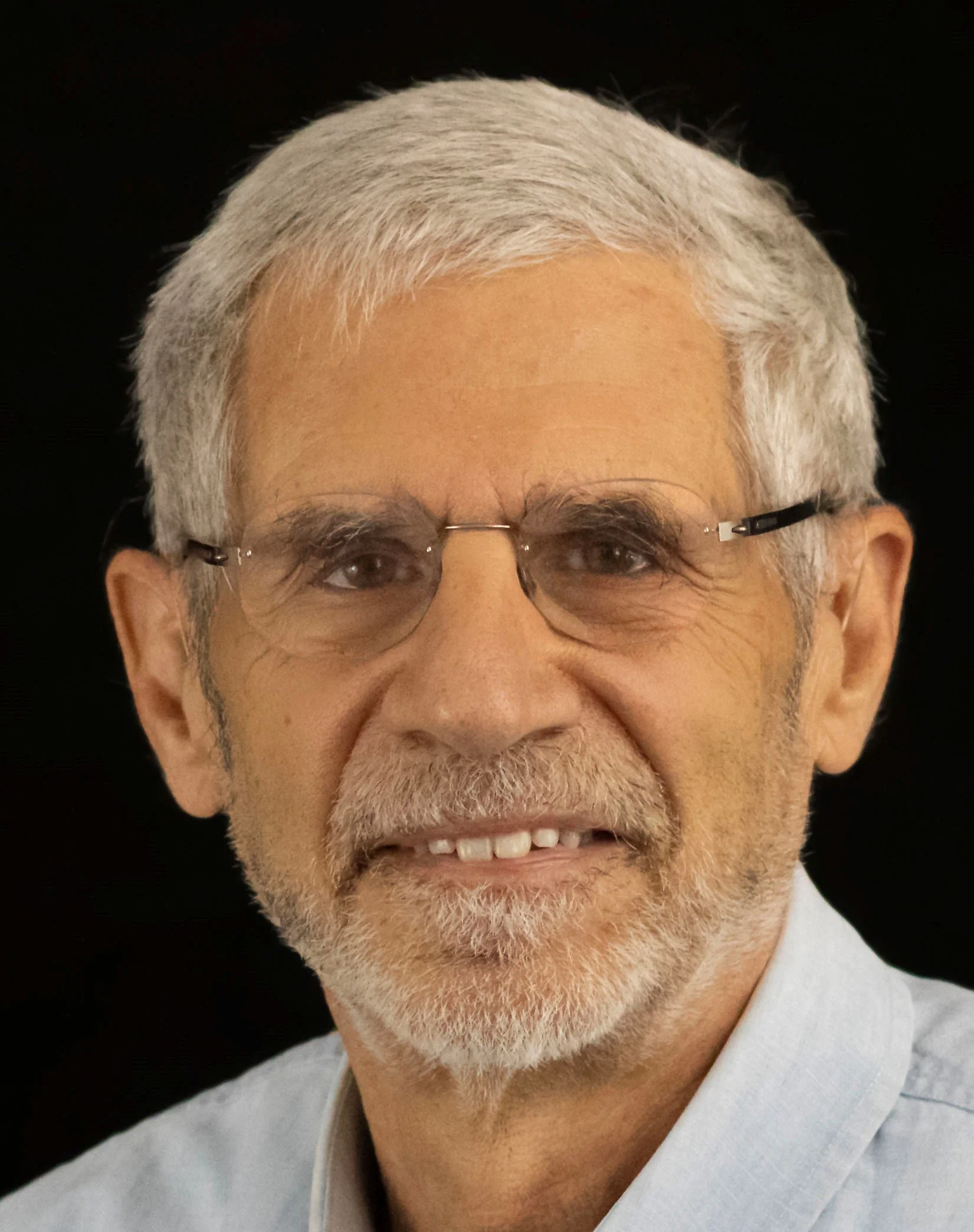 Alan Perelson