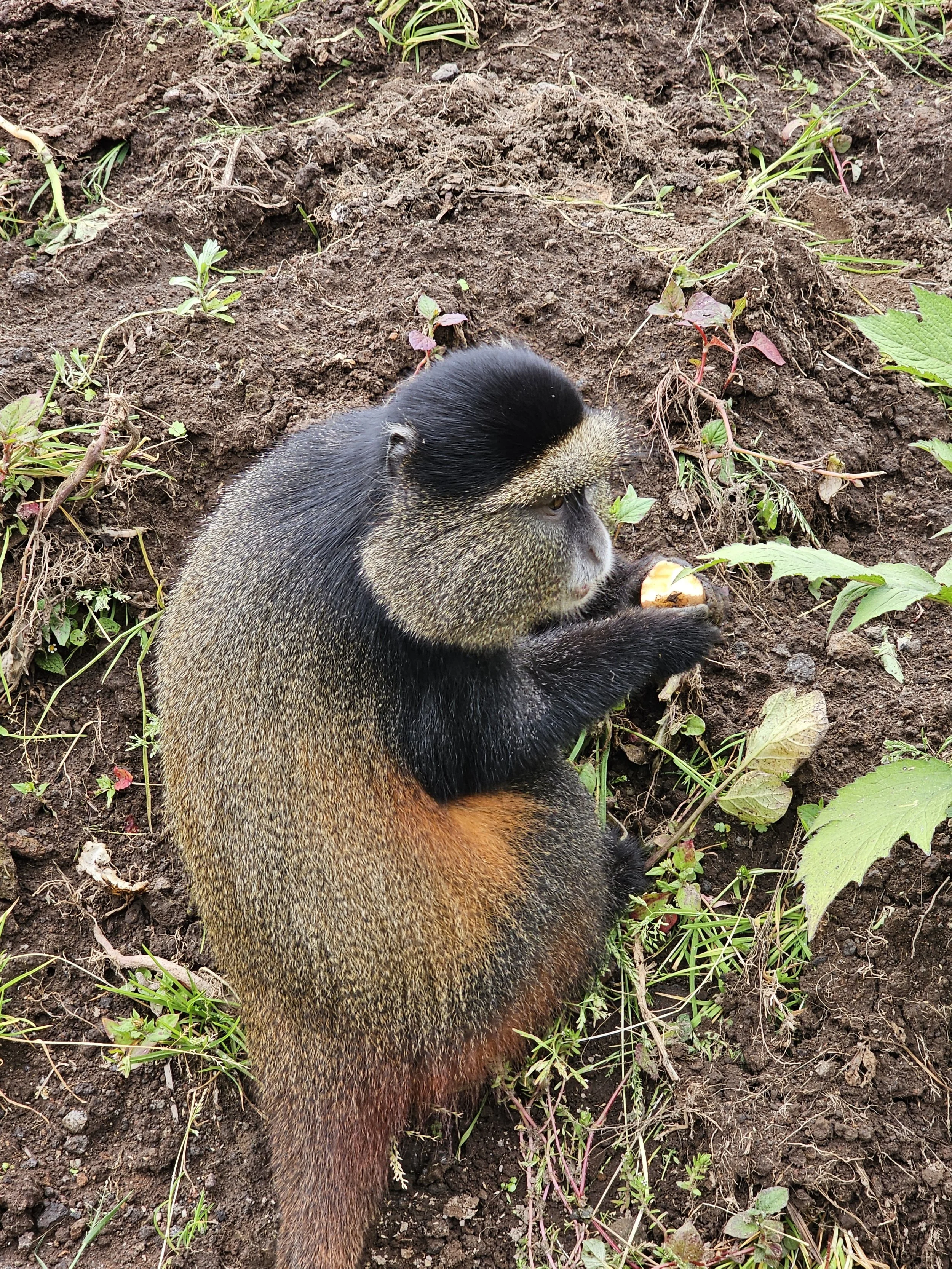 20250915_094546.jpg