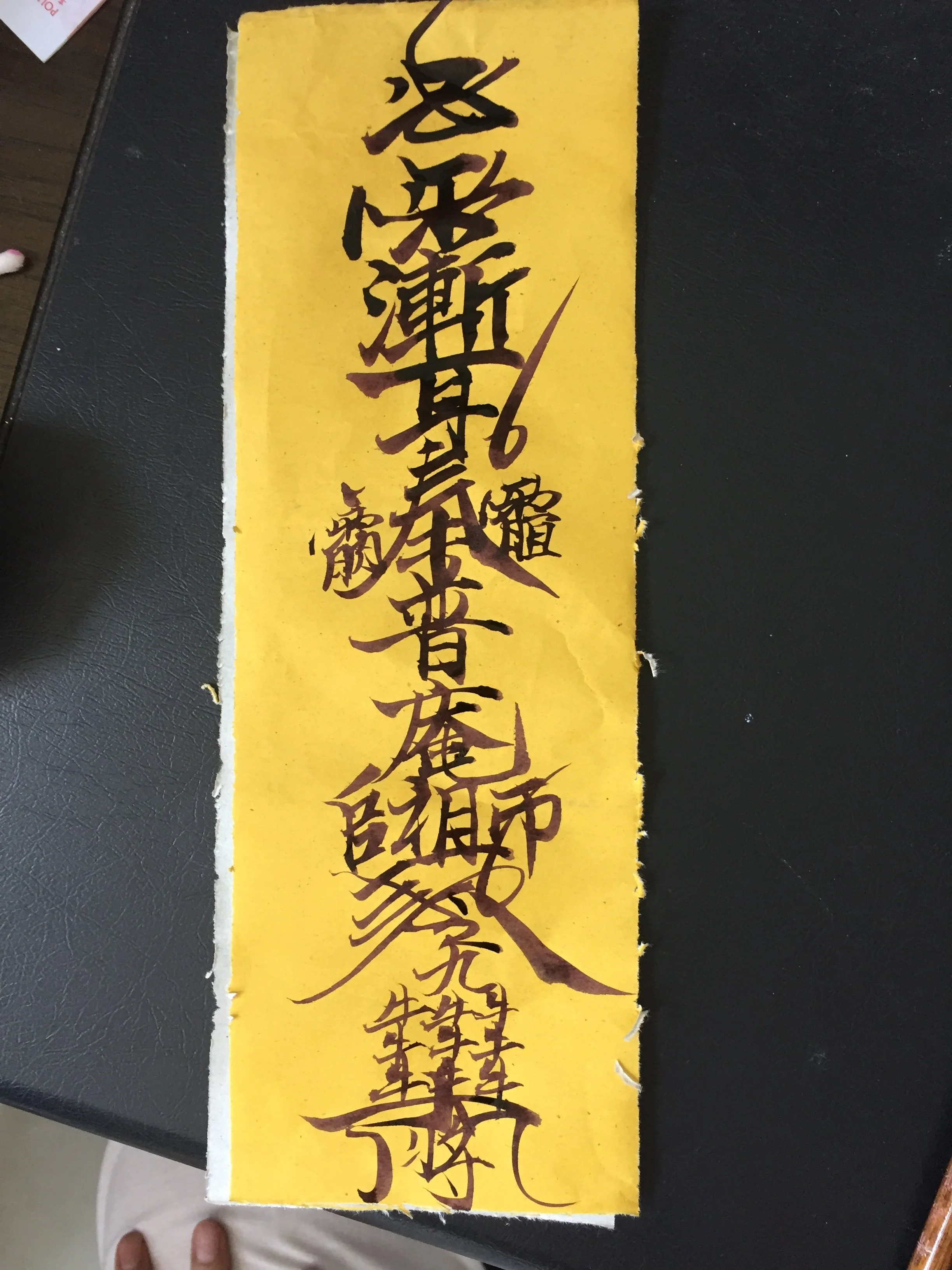 Zhuyou Daoist Medicine