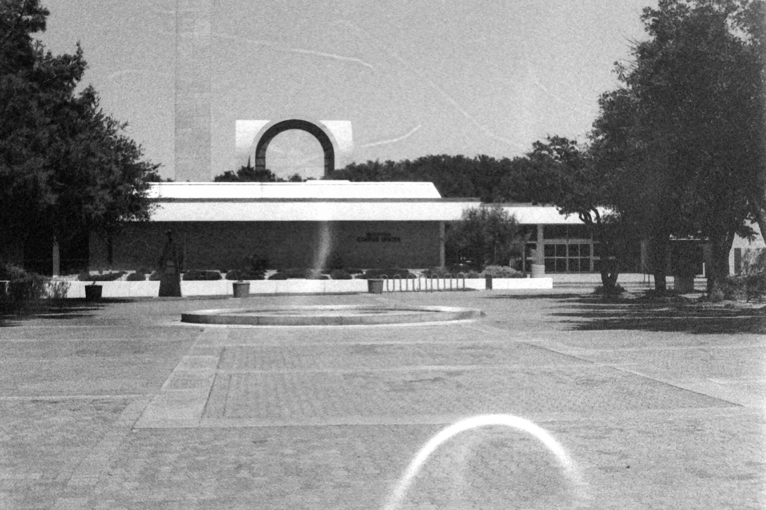 quarantine: a black and white film project