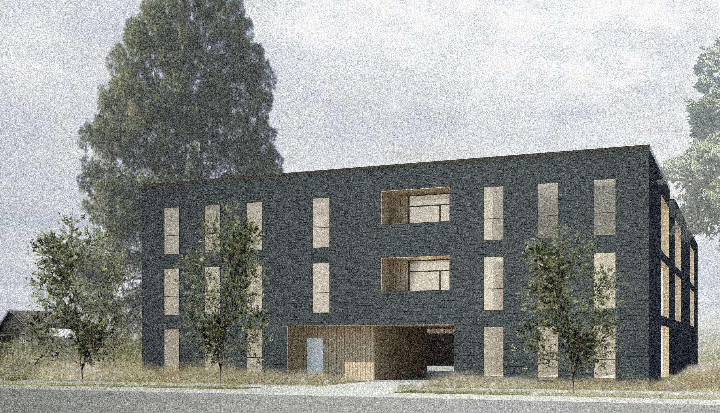 03) Fiber-cement (Hardi) lap siding.jpg