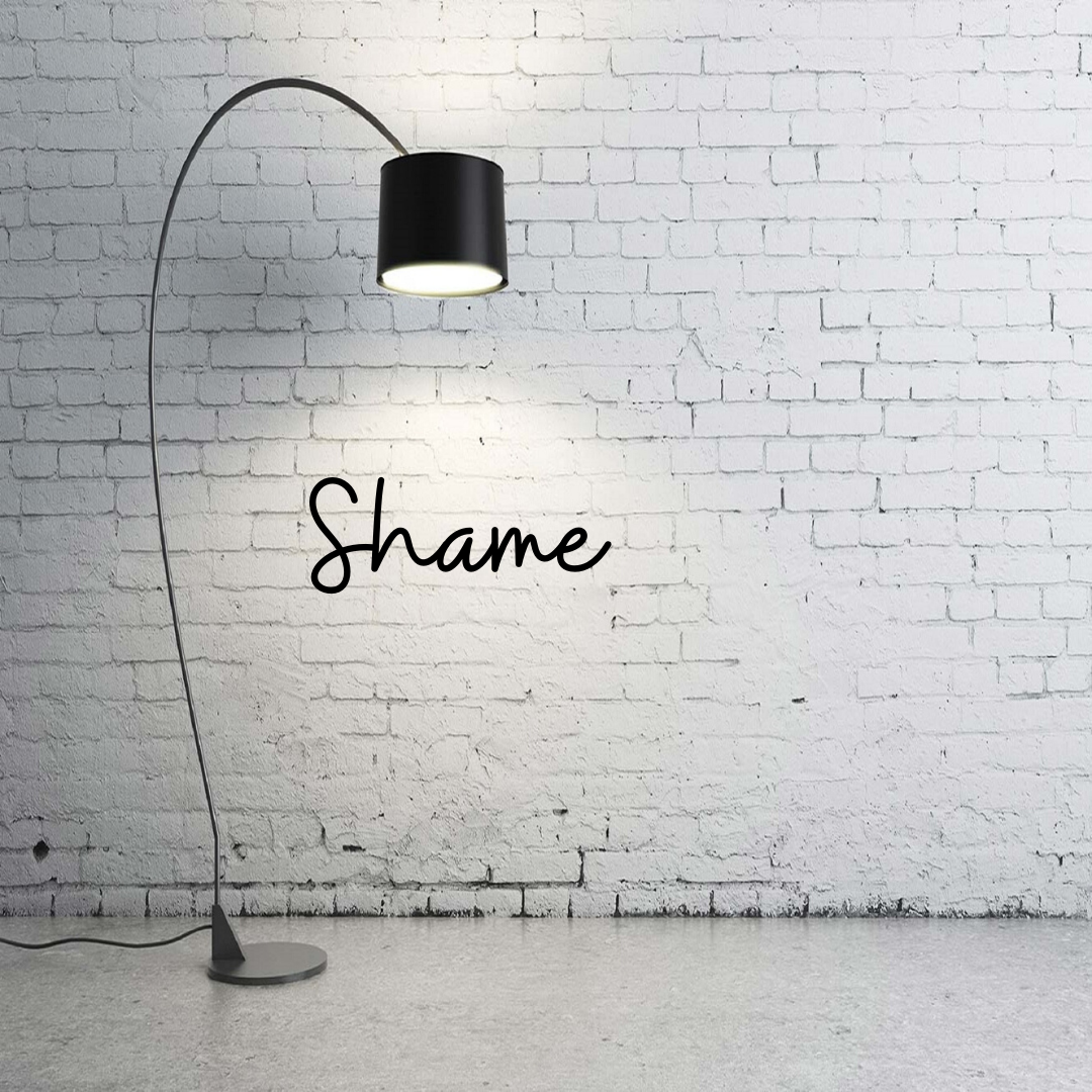 Shining Light Onto Shame