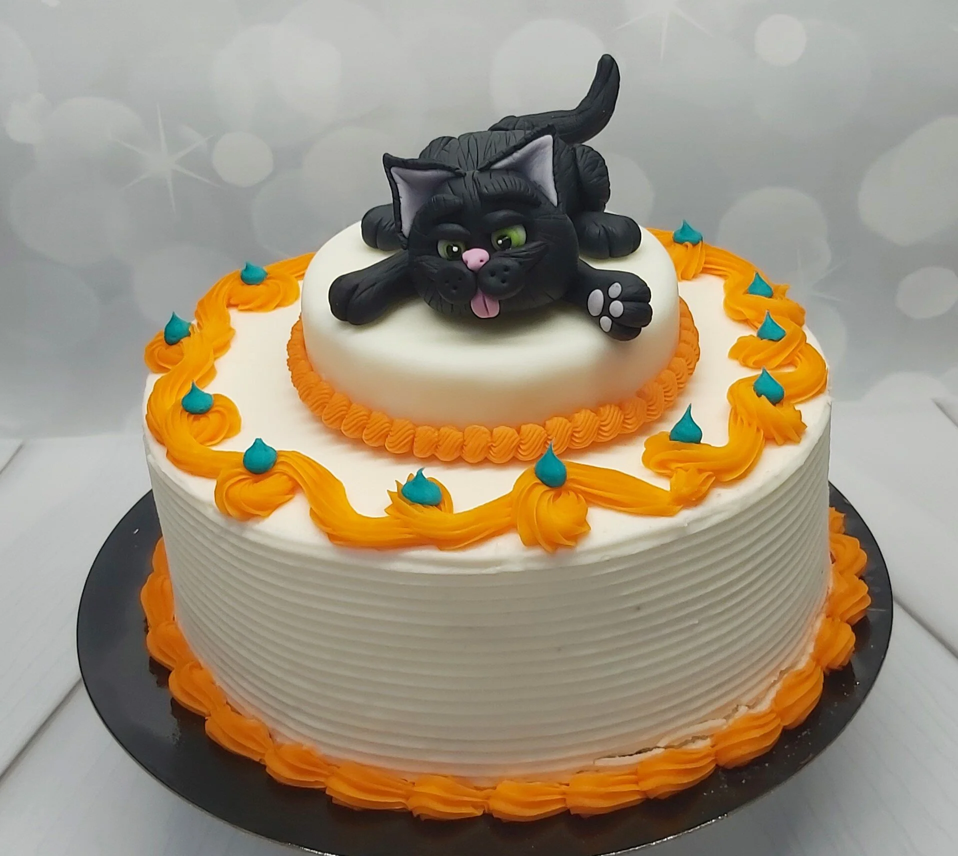 Cat - Black.jpg