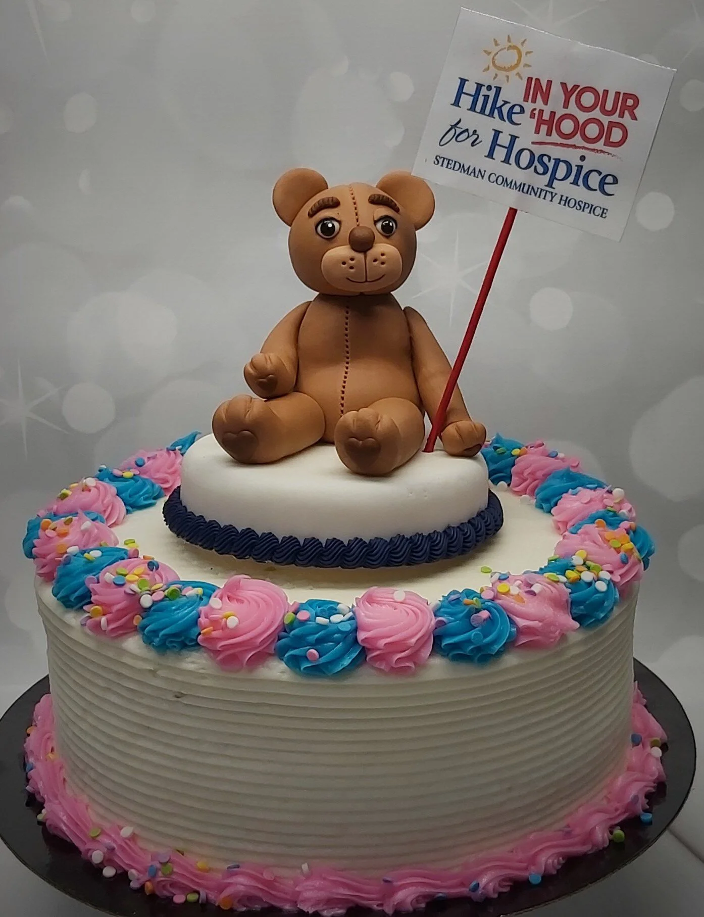 Bear - Hospice 3.jpg