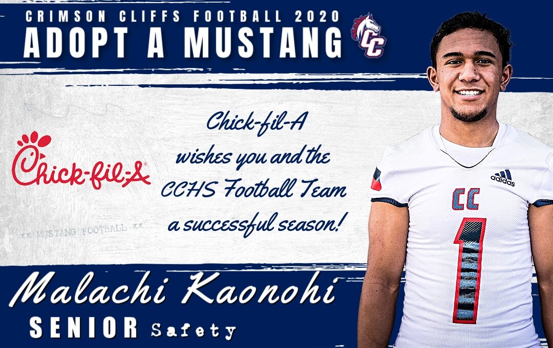 Adopt a Mustang 1.jpg