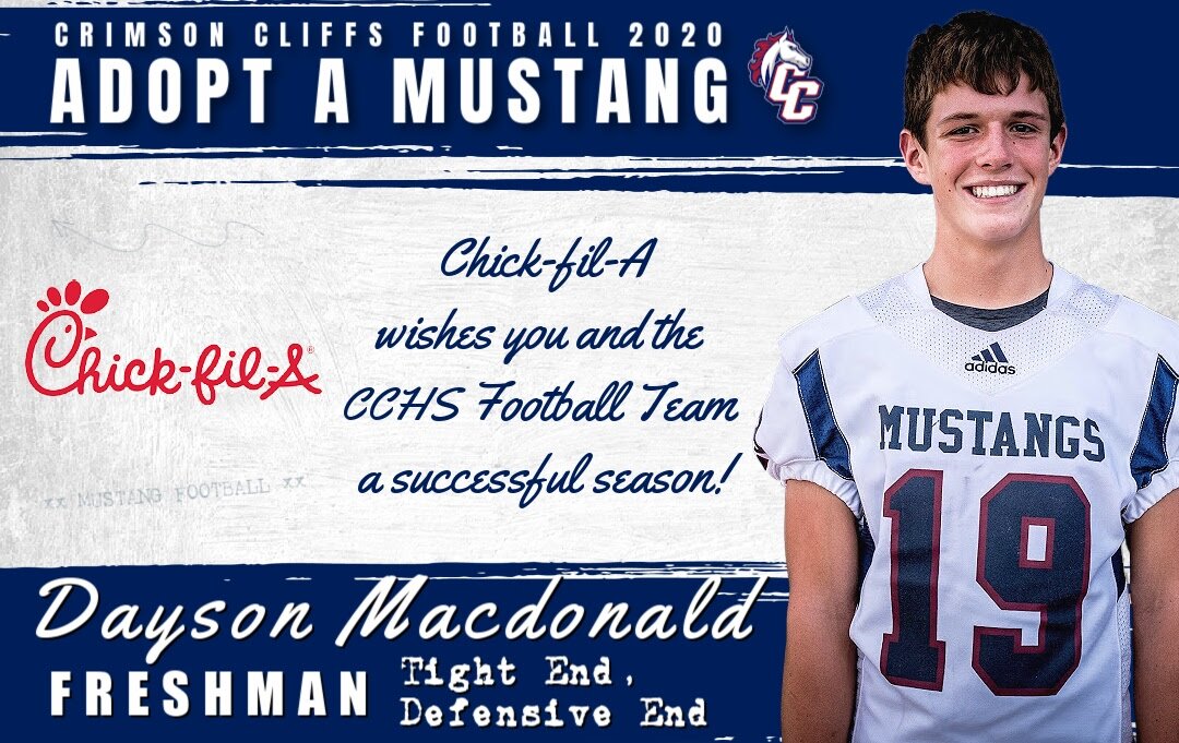 Adopt a Mustang 19f.jpg