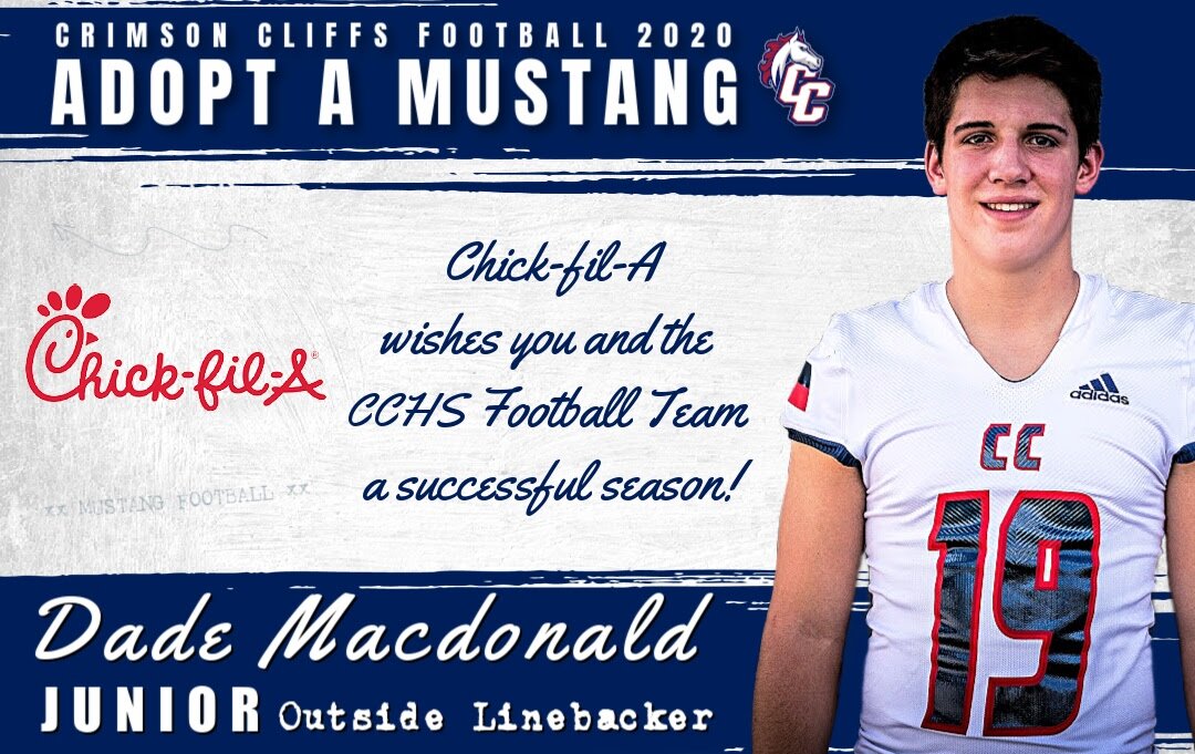 Adopt a Mustang 19j .jpg