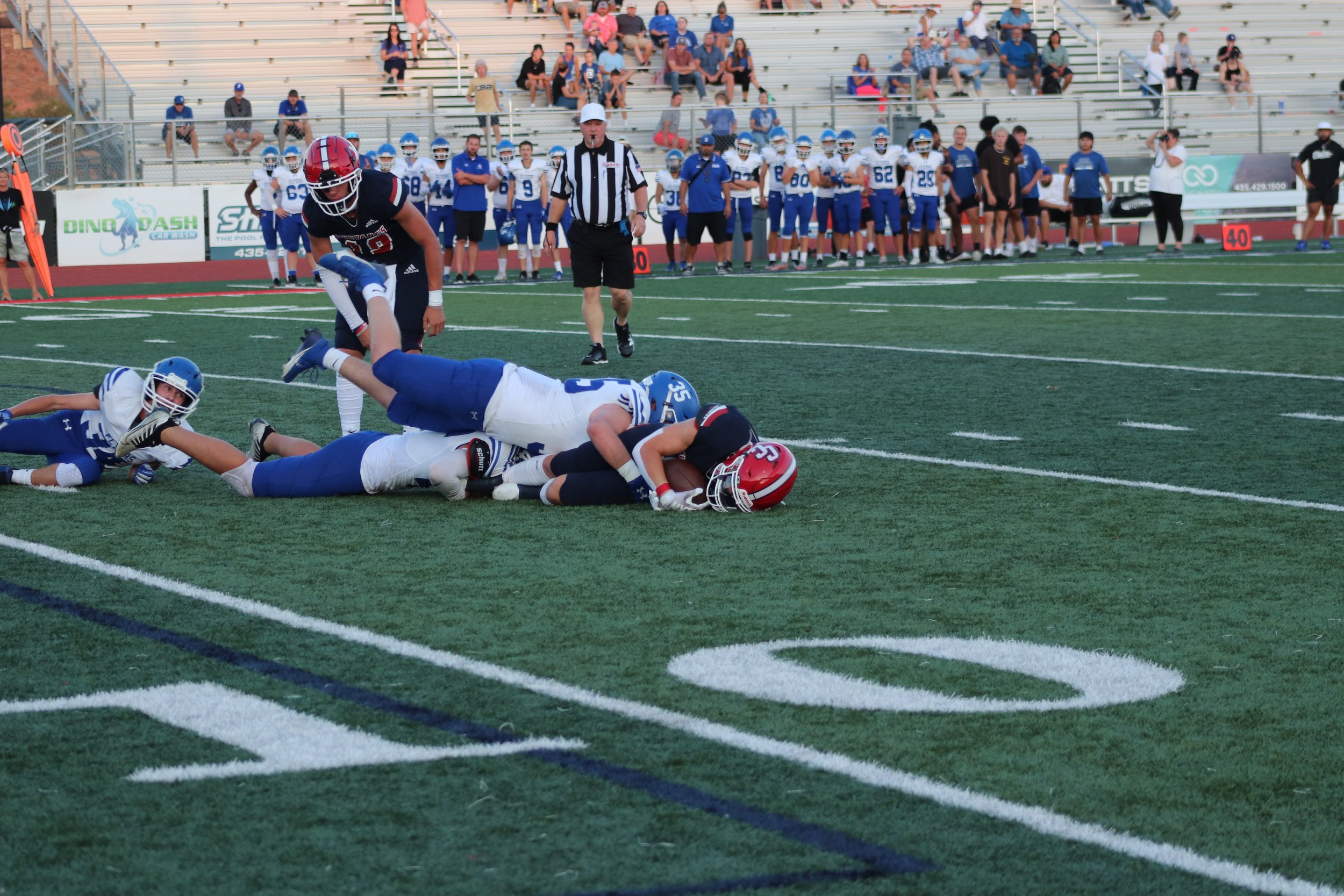 IMG_6606.jpg