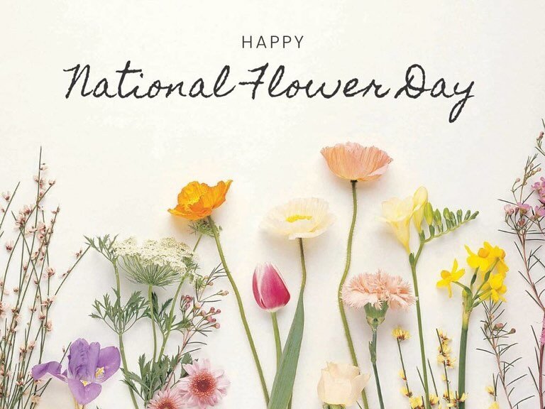 Happy National Flower Day! If you&rsquo;re looking for florals @fringe.studio has you covered. Beautiful journals, tea towels, mugs and more! Reach out to your local rep for the current catalog and to place your order. 

#ritzsisters #seattlemart #na
