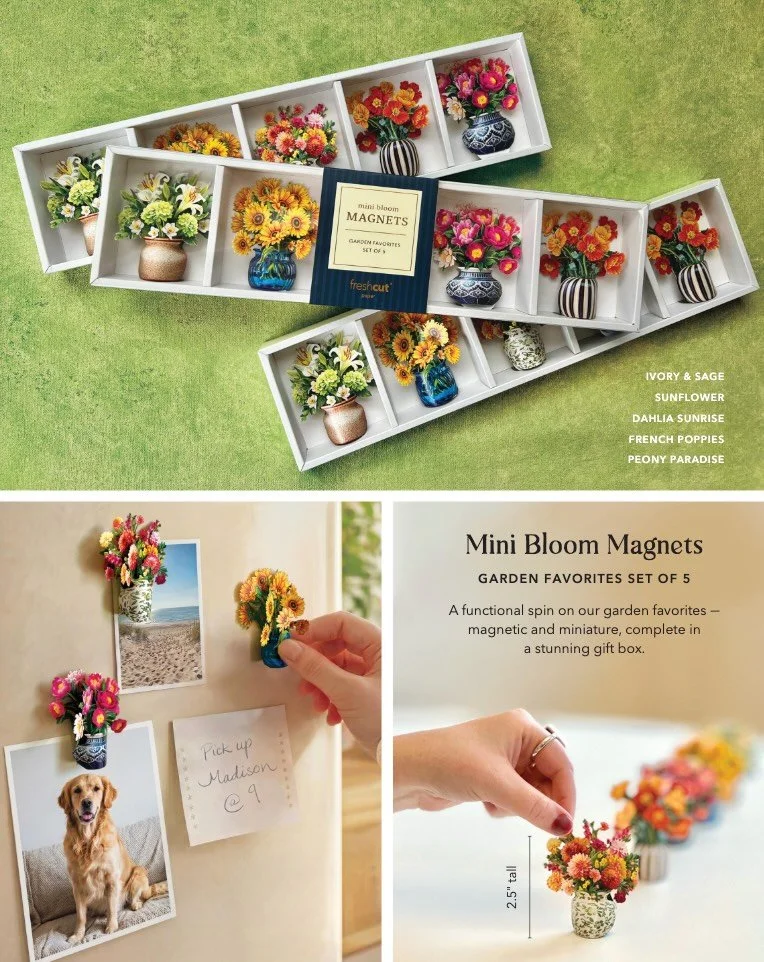 A few highlights from Freshcut Paper&rsquo;s new Fall release! 💐Featuring magnets, sun catchers, new cards, and even puzzles!! Also, innovative and exciting holiday designs 🎄👻 

Contact your local rep for details and don&rsquo;t forget you can sho