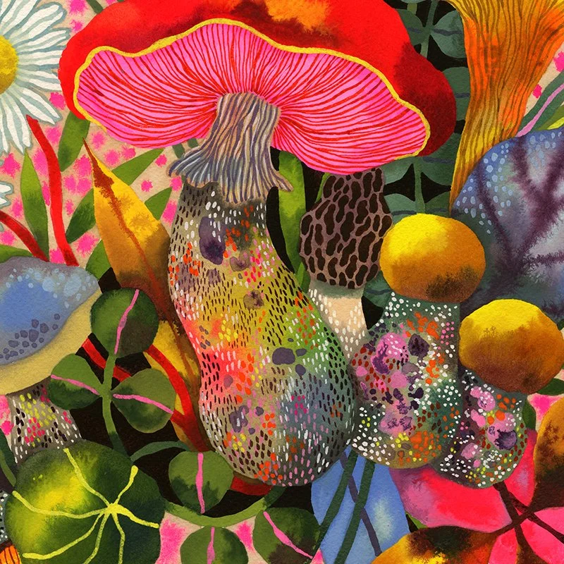 dardik_MushroomSong_Shop2.jpg