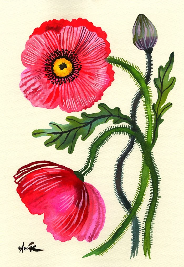 dardik_PoppyBlooms_Shop1.jpg