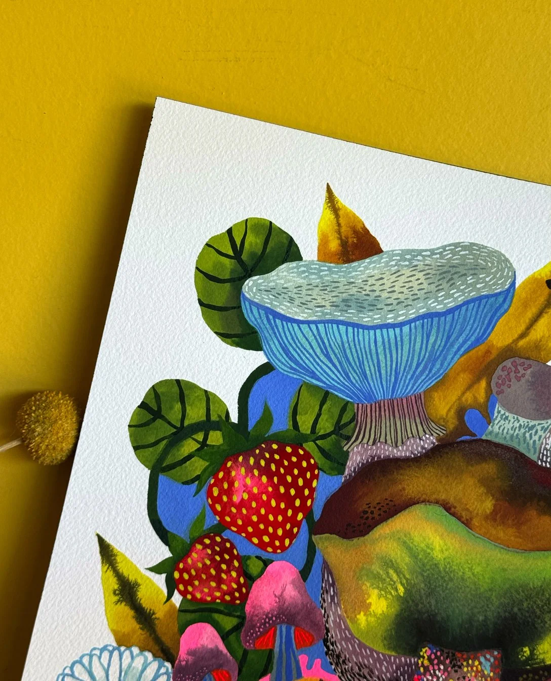 dardik_FunWithFungi_Shop8.jpg