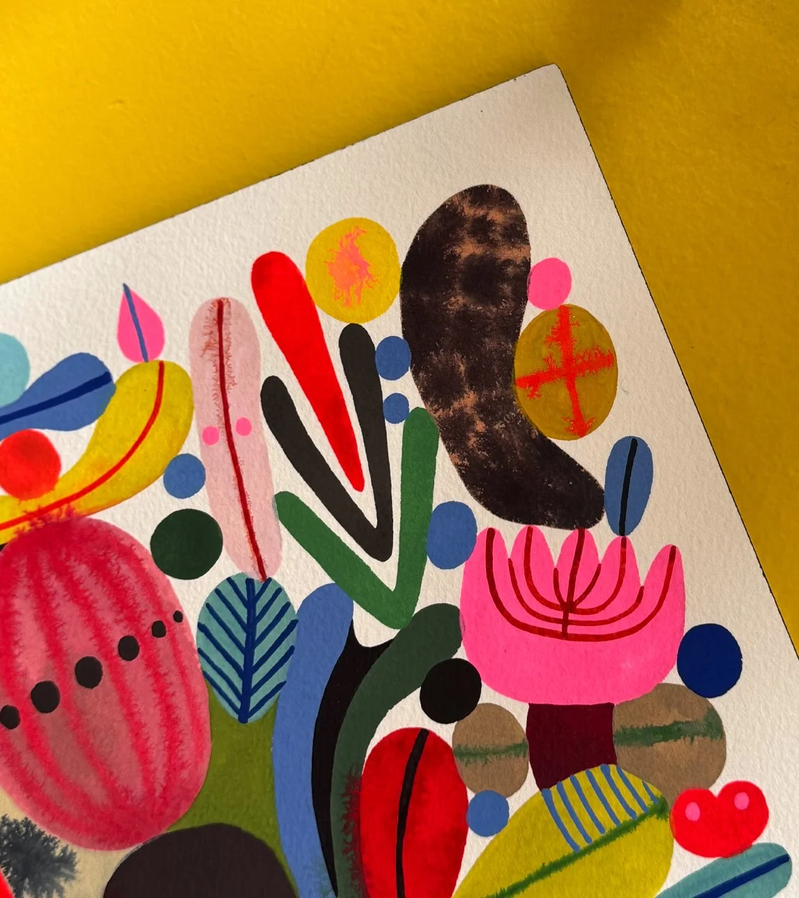 dardik_ColourKaboom_Shop4.jpg